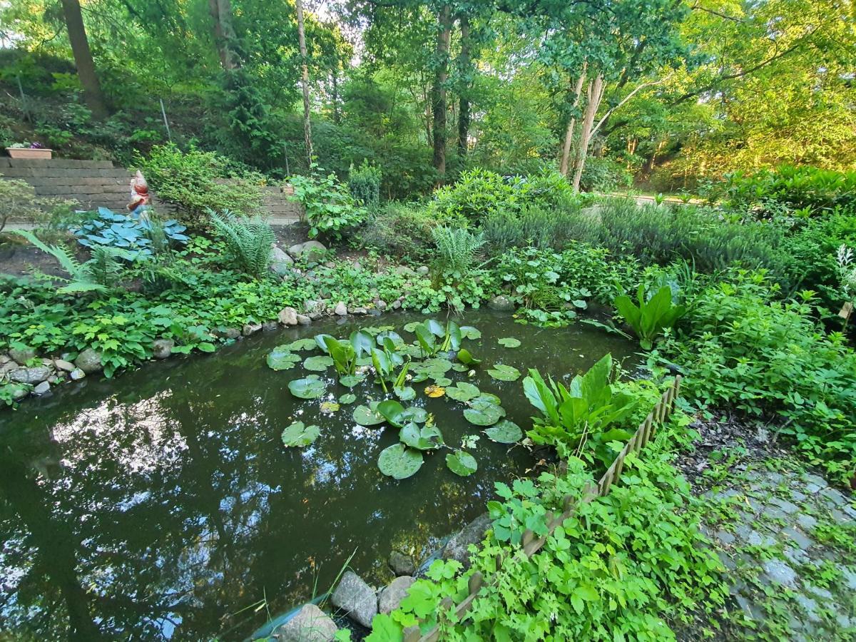Apartment Bei Hamburg Bis 10 Personen Mit Terasse Und Gartennutzung. Buchholz in der Nordheide Zewnętrze zdjęcie